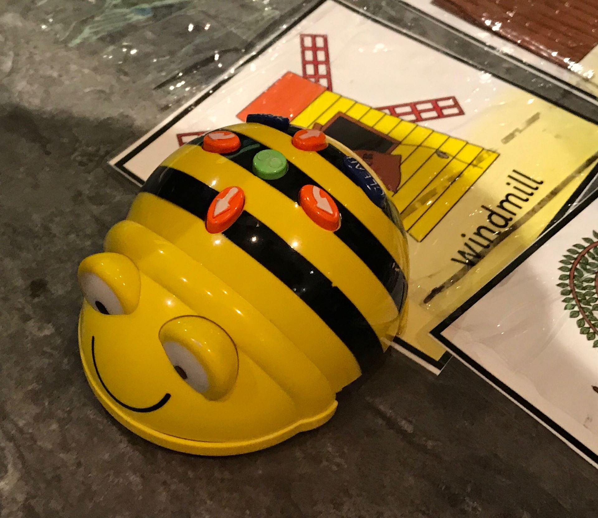 A Bee Bot sits on an activity tile